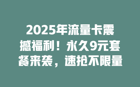 2025年流量卡震撼福利!永久9元套餐来袭,速抢不限量