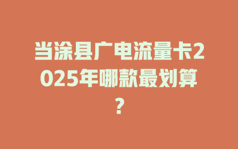 当涂县广电流量卡2025年哪款最划算？