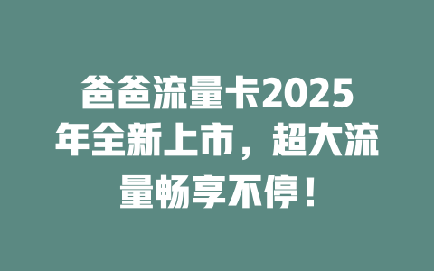 爸爸流量卡2025年全新上市，超大流量畅享不停！