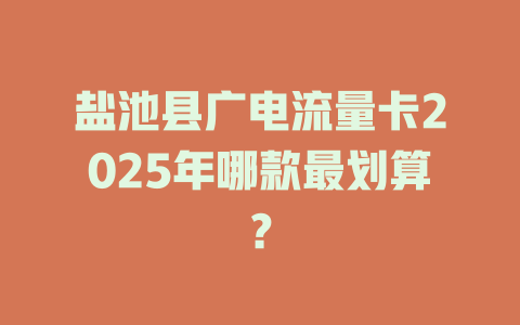 盐池县广电流量卡2025年哪款最划算？