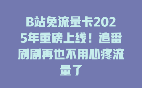 B站免流量卡2025年重磅上线！追番刷剧再也不用心疼流量了