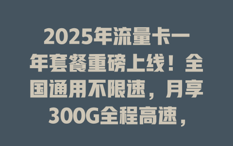 2025年流量卡一年套餐重磅上线！全国通用不限速，月享300G全程高速，现在办理立省600元！