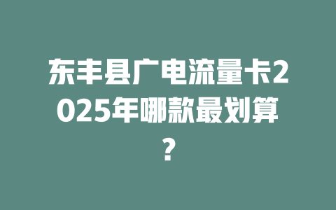 东丰县广电流量卡2025年哪款最划算？