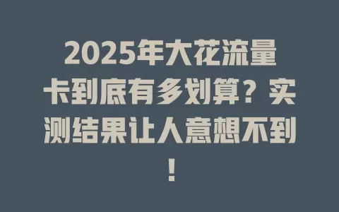 2025年大花流量卡到底有多划算？实测结果让人意想不到！
