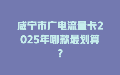 咸宁市广电流量卡2025年哪款最划算？