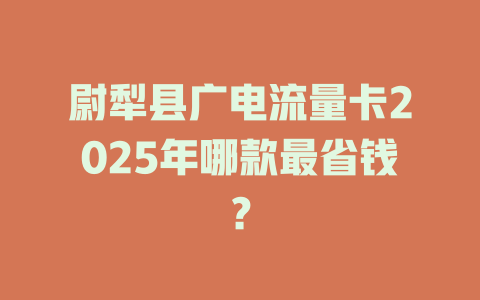 尉犁县广电流量卡2025年哪款最省钱？