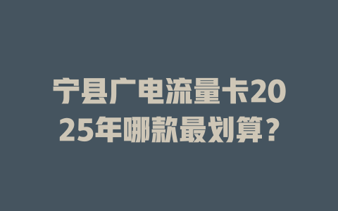 宁县广电流量卡2025年哪款最划算？