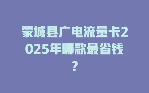 蒙城县广电流量卡2025年哪款最省钱？