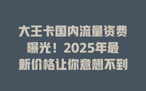 大王卡国内流量资费曝光！2025年最新价格让你意想不到