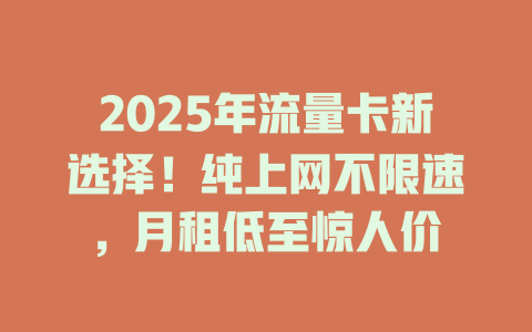 2025年流量卡新选择！纯上网不限速，月租低至惊人价