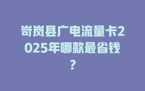 岢岚县广电流量卡2025年哪款最省钱？