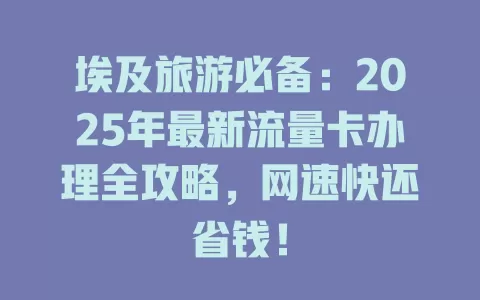埃及旅游必备：2025年最新流量卡办理全攻略，网速快还省钱！