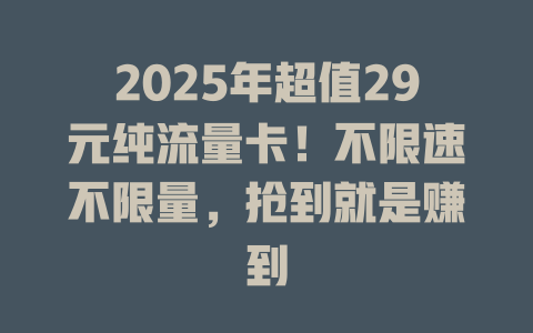 2025年超值29元纯流量卡！不限速不限量，抢到就是赚到