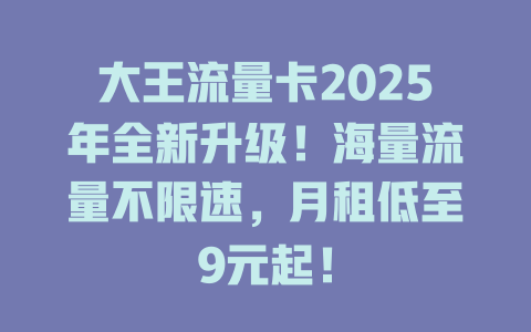 大王流量卡2025年全新升级！海量流量不限速，月租低至9元起！