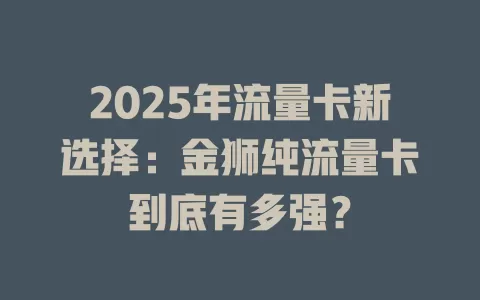 2025年流量卡新选择：金狮纯流量卡到底有多强？