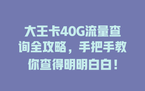 大王卡40G流量查询全攻略，手把手教你查得明明白白！
