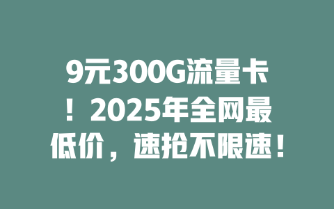 9元300G流量卡！2025年全网最低价，速抢不限速！