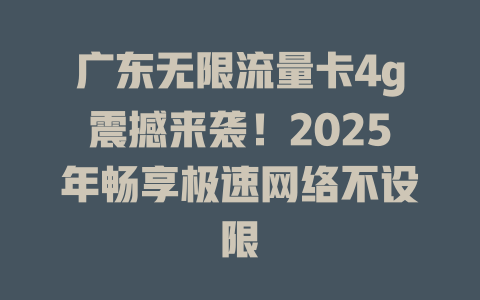 广东无限流量卡4g震撼来袭！2025年畅享极速网络不设限