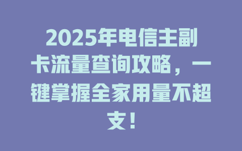 2025年电信主副卡流量查询攻略，一键掌握全家用量不超支！