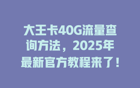 大王卡40G流量查询方法，2025年最新官方教程来了！