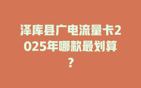 泽库县广电流量卡2025年哪款最划算？