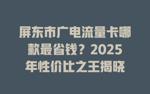 屏东市广电流量卡哪款最省钱？2025年性价比之王揭晓