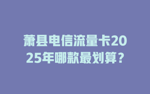 萧县电信流量卡2025年哪款最划算？