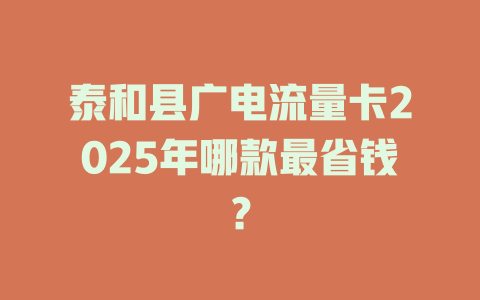 泰和县广电流量卡2025年哪款最省钱？