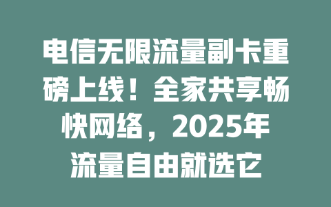 电信无限流量副卡重磅上线！全家共享畅快网络，2025年流量自由就选它