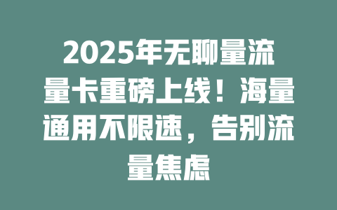 2025年无聊量流量卡重磅上线！海量通用不限速，告别流量焦虑
