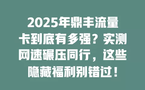2025年鼎丰流量卡到底有多强？实测网速碾压同行，这些隐藏福利别错过！