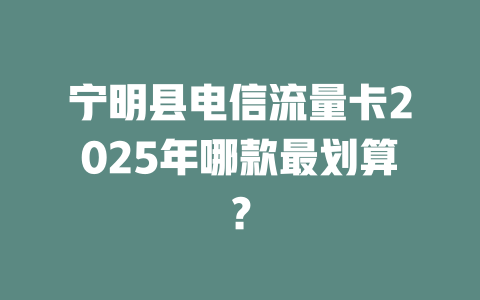 宁明县电信流量卡2025年哪款最划算？