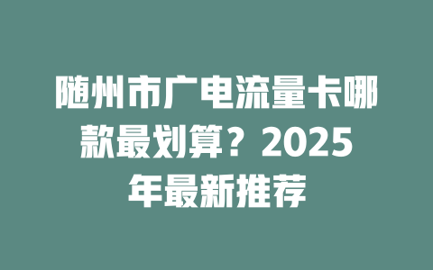 随州市广电流量卡哪款最划算？2025年最新推荐