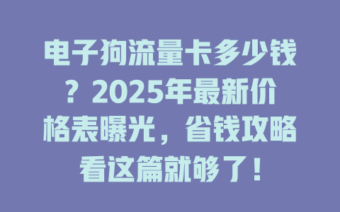 电子狗流量卡多少钱？2025年最新价格表曝光，省钱攻略看这篇就够了！