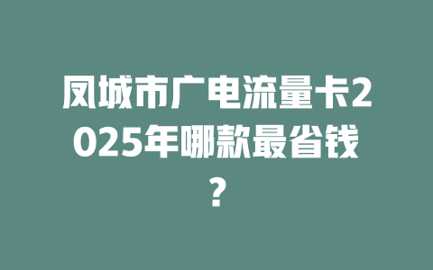 凤城市广电流量卡2025年哪款最省钱？