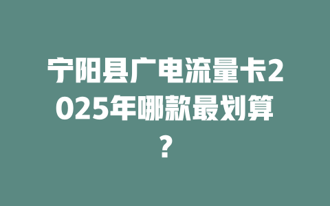 宁阳县广电流量卡2025年哪款最划算？
