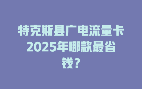 特克斯县广电流量卡2025年哪款最省钱？