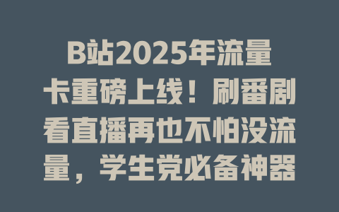 B站2025年流量卡重磅上线！刷番剧看直播再也不怕没流量，学生党必备神器！