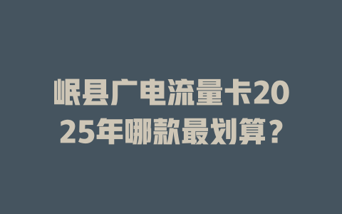 岷县广电流量卡2025年哪款最划算？