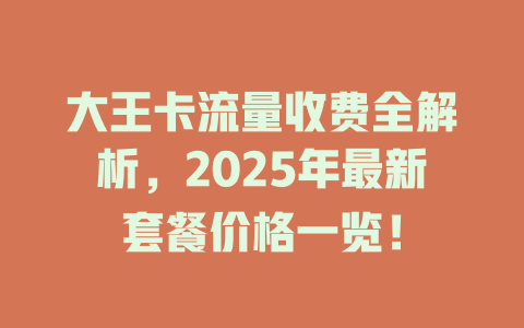 大王卡流量收费全解析，2025年最新套餐价格一览！