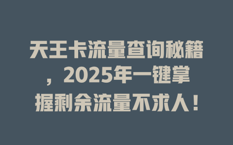 天王卡流量查询秘籍，2025年一键掌握剩余流量不求人！