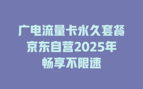 广电流量卡永久套餐京东自营2025年畅享不限速
