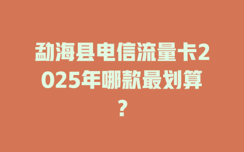 勐海县电信流量卡2025年哪款最划算？