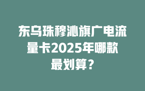 东乌珠穆沁旗广电流量卡2025年哪款最划算？