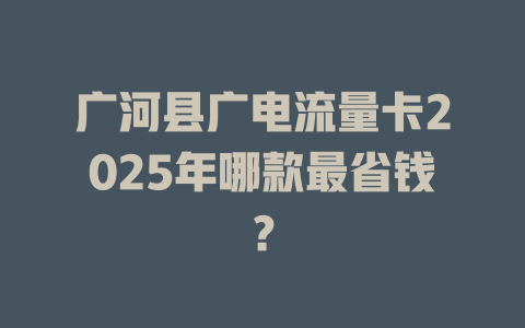 广河县广电流量卡2025年哪款最省钱？