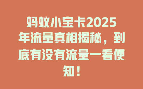 蚂蚁小宝卡2025年流量真相揭秘，到底有没有流量一看便知！
