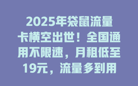 2025年袋鼠流量卡横空出世！全国通用不限速，月租低至19元，流量多到用不完！