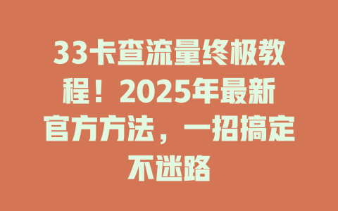 33卡查流量终极教程！2025年最新官方方法，一招搞定不迷路