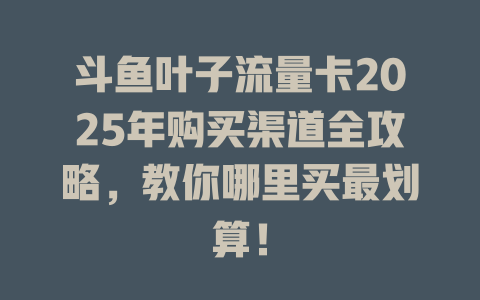 斗鱼叶子流量卡2025年购买渠道全攻略，教你哪里买最划算！