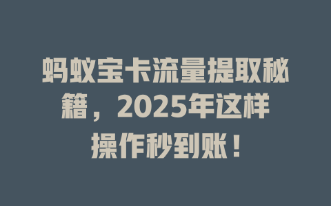 蚂蚁宝卡流量提取秘籍，2025年这样操作秒到账！